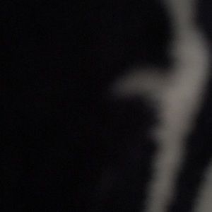 Meet your Posher, Mason